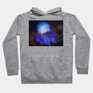 Ethereal Phosphorescence Hoodie